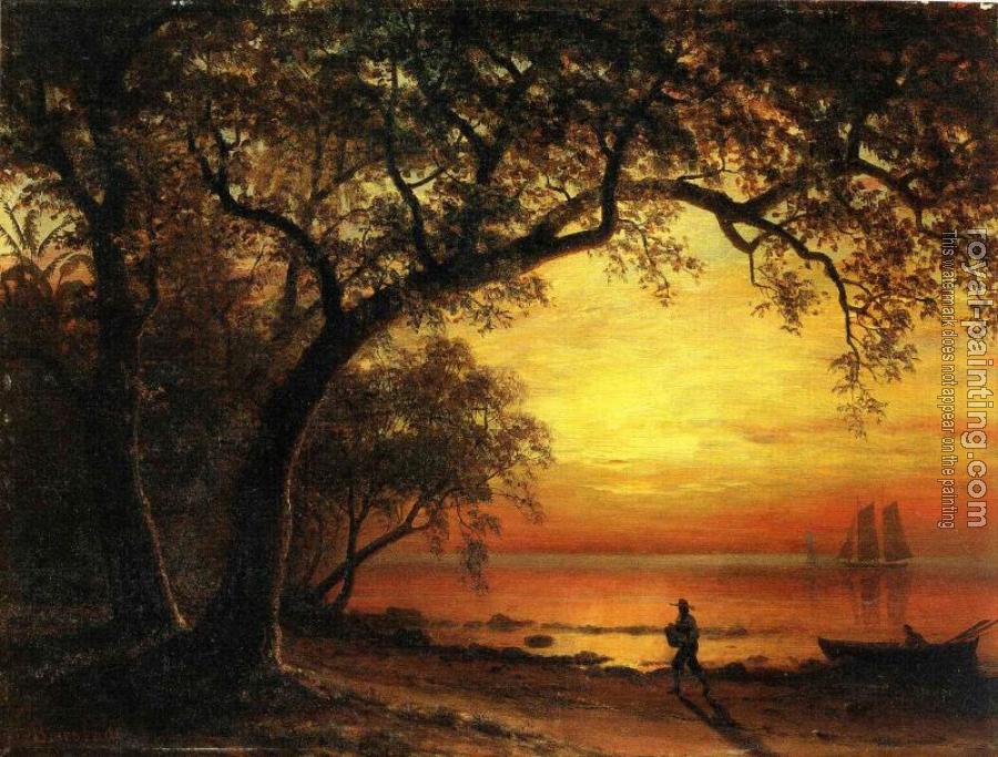 Albert Bierstadt : Island of New Providence Albert Bierstadt : Island of New Providence